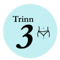trinn3